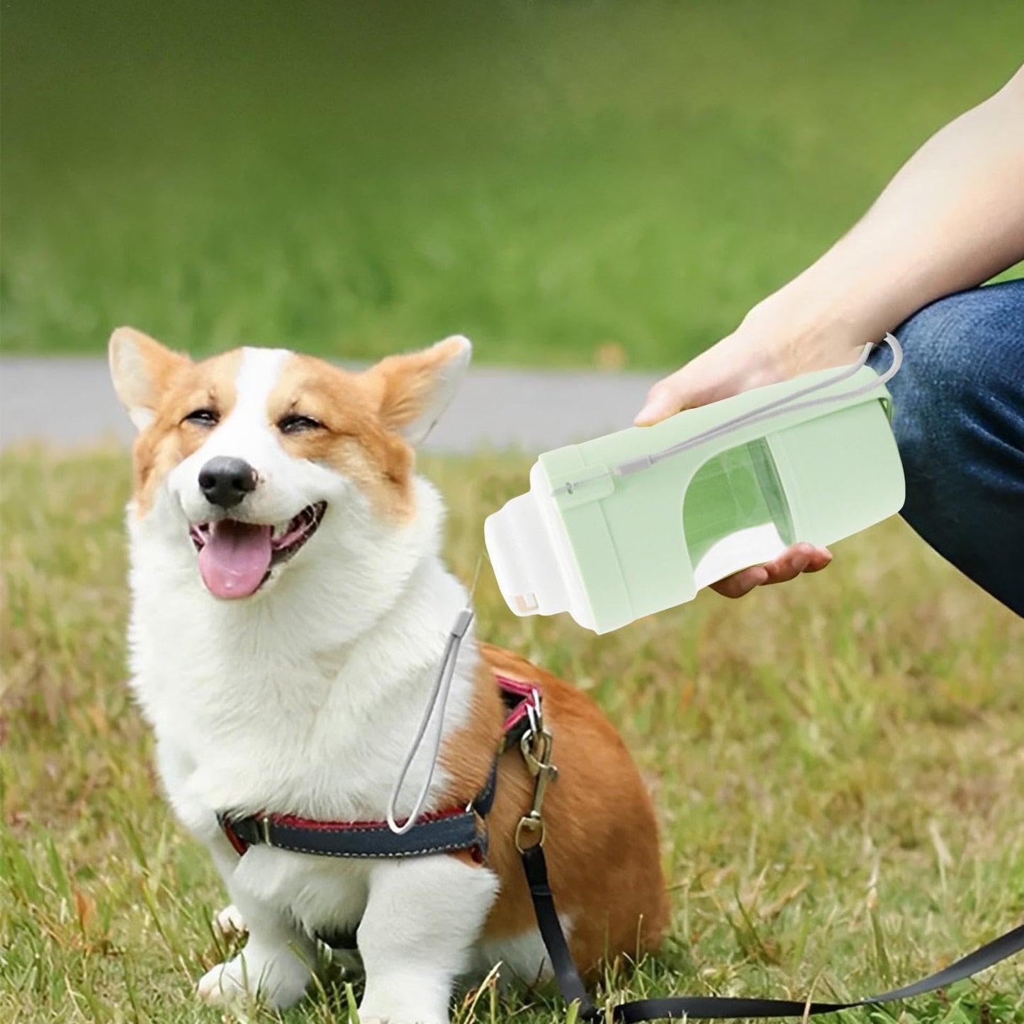 Aqusten Portable Dog Water Bottle 2-in-1 Travel Feeder Cup